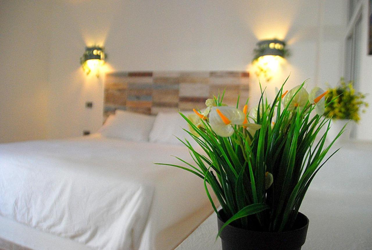 Nuovo Hotel Playa Catalina La Romana Zewnętrze zdjęcie