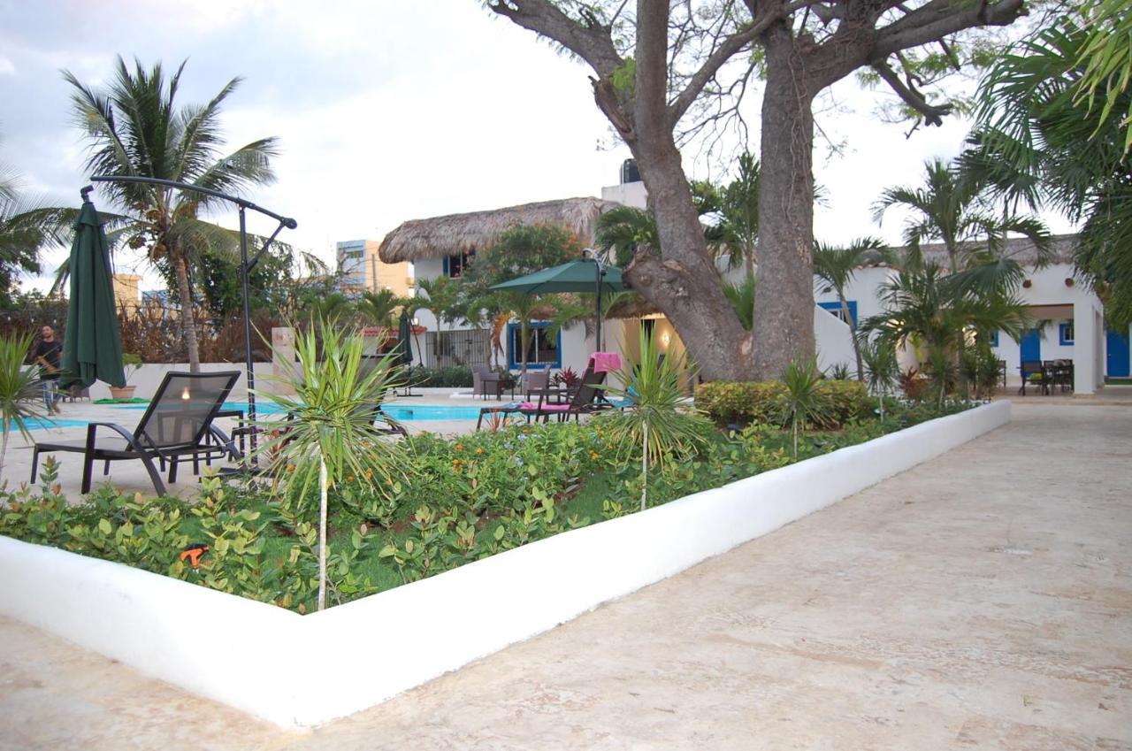Nuovo Hotel Playa Catalina La Romana Zewnętrze zdjęcie