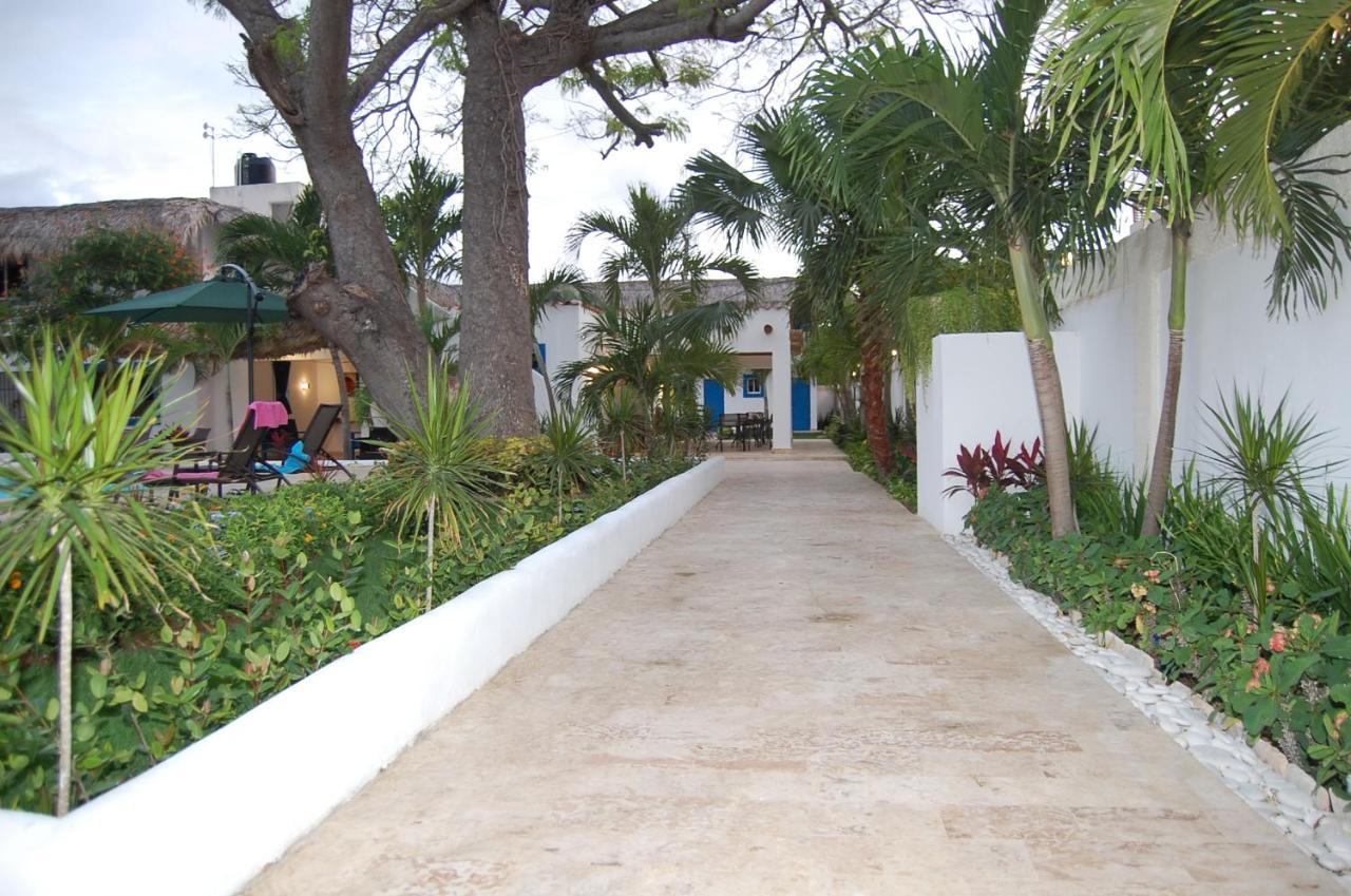 Nuovo Hotel Playa Catalina La Romana Zewnętrze zdjęcie